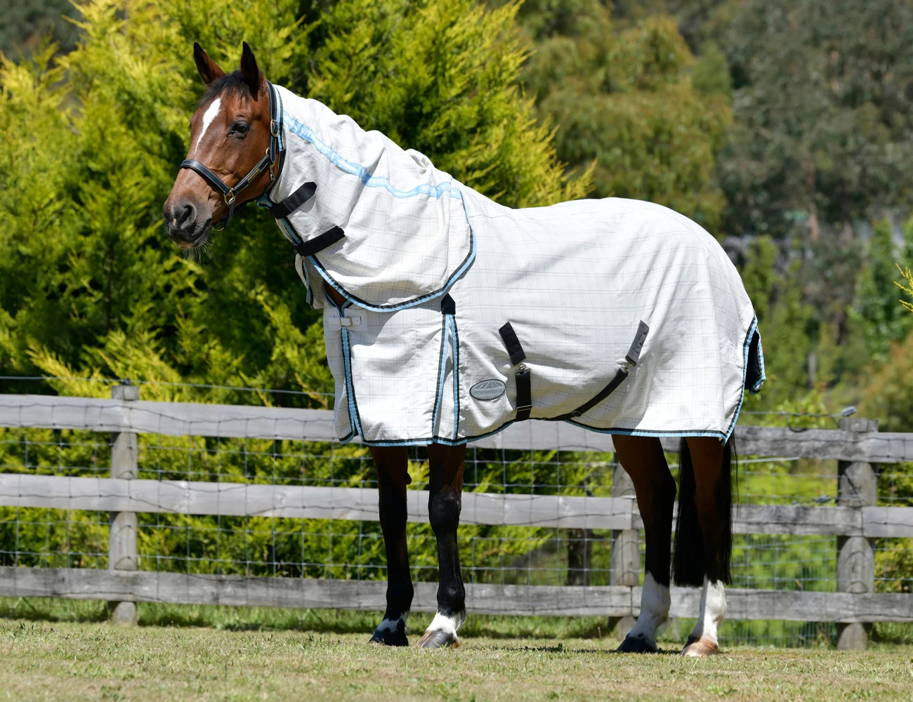WEATHERBEETA Cotton Summer Sheet Combo Neck