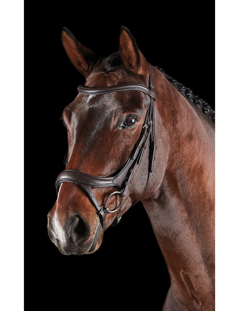 COLLEGIATE ComFiTec Vogue Anatomical Bridle