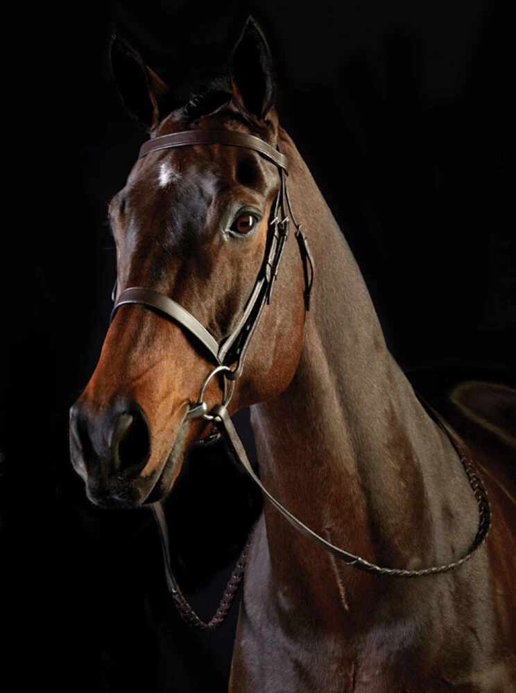 COLLEGIATE Flat Cavesson II Bridle