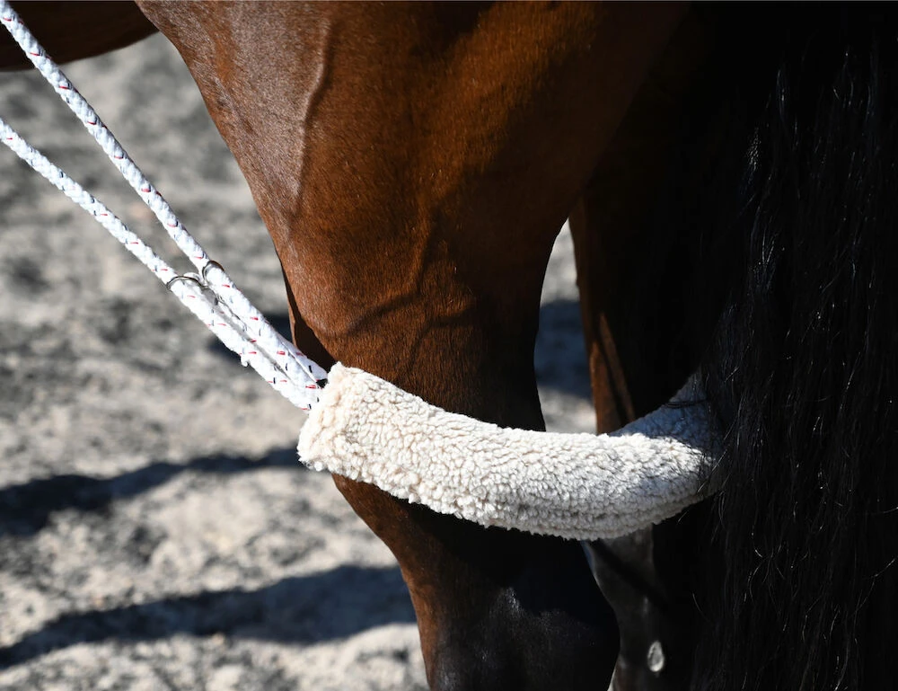 KINCADE Lunging Training System