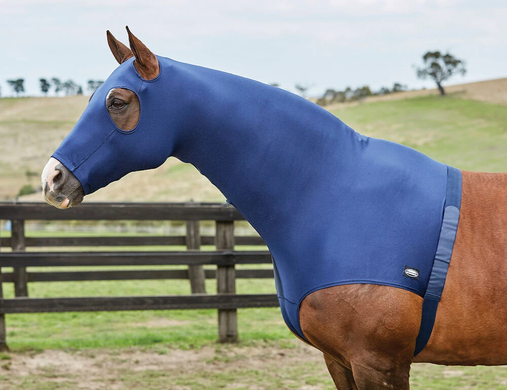 WEATHERBEETA Stretch Hood With Zip