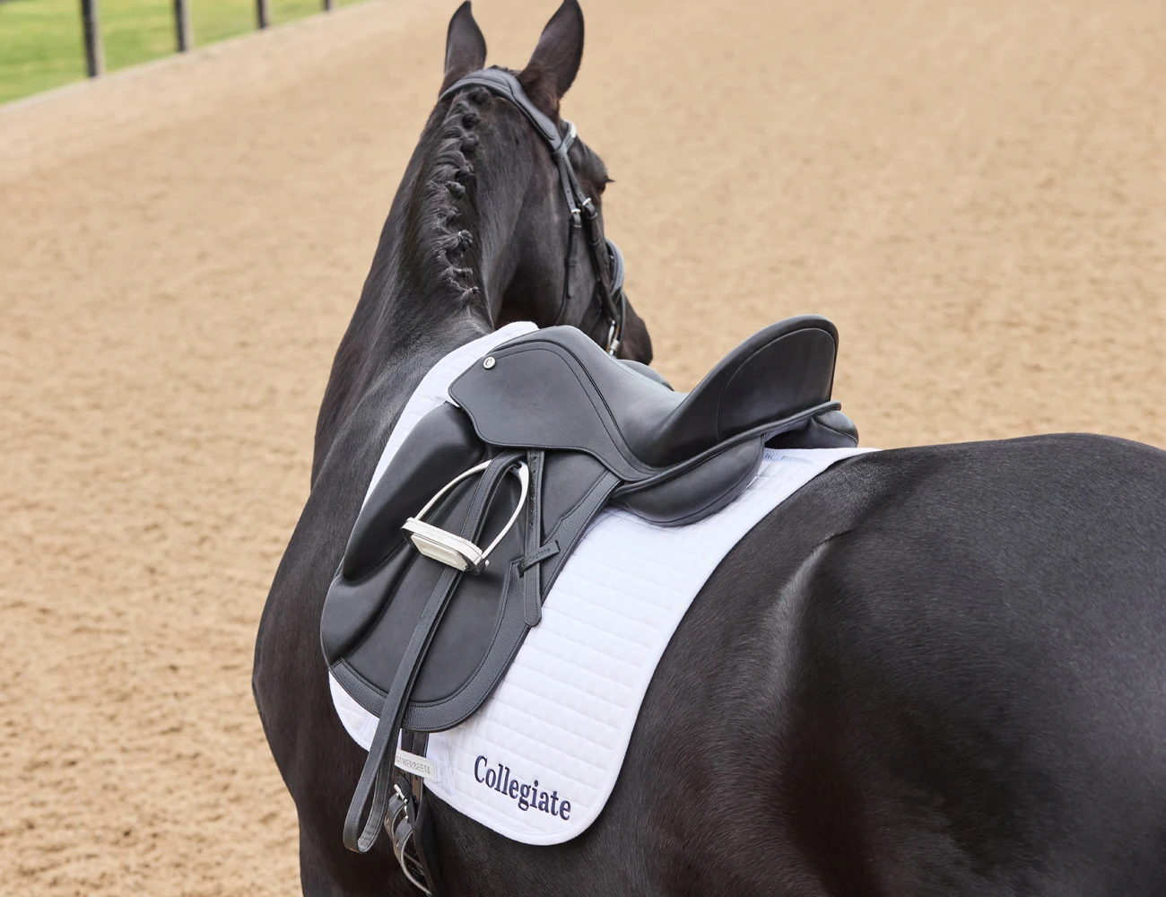 COLLEGIATE Resolute Dressage Saddle
