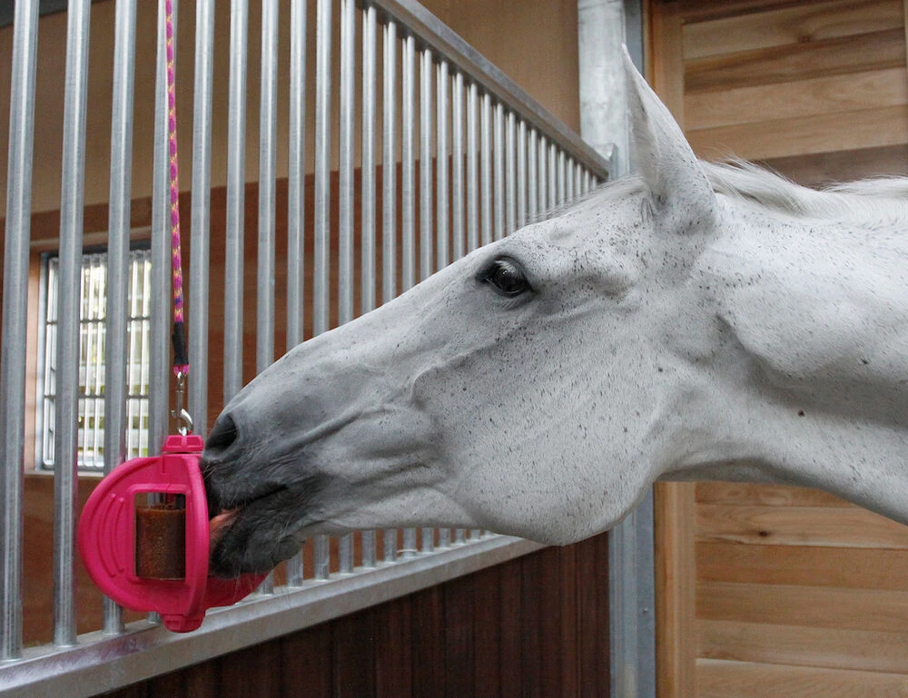 LIKIT Bizzy Horse Toy