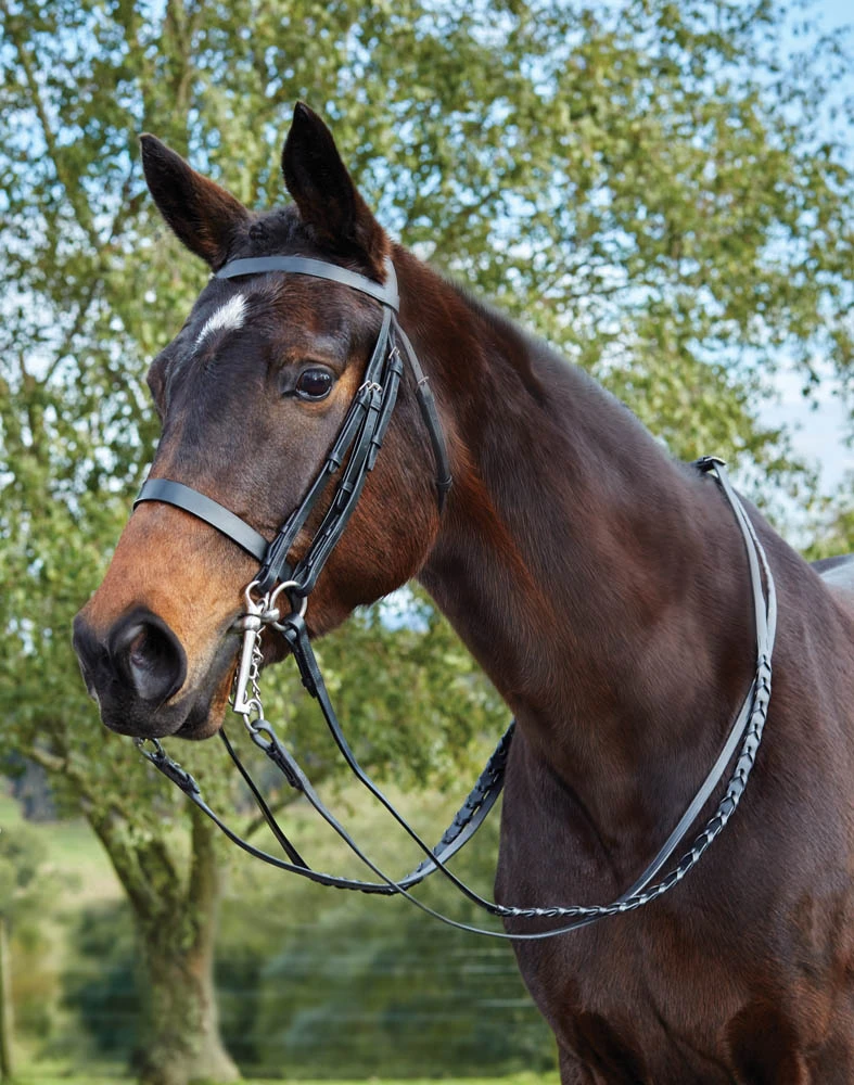 KINCADE Flat Show Weymouth II Bridle