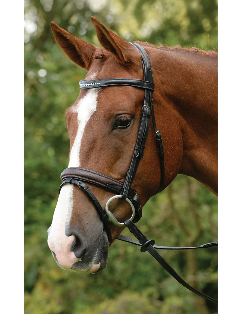 KINCADE Comfort Crystal Crank Bridle