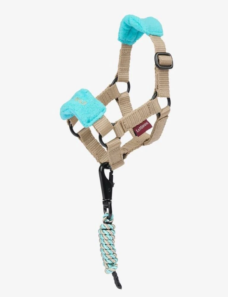 LEMIEUX Toy Pony Headcollar