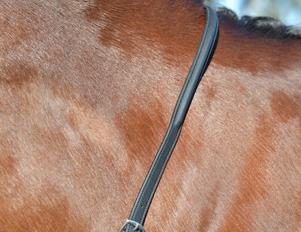 COLLEGIATE ComFiTec Opulux Fancy Raised Running Martingale