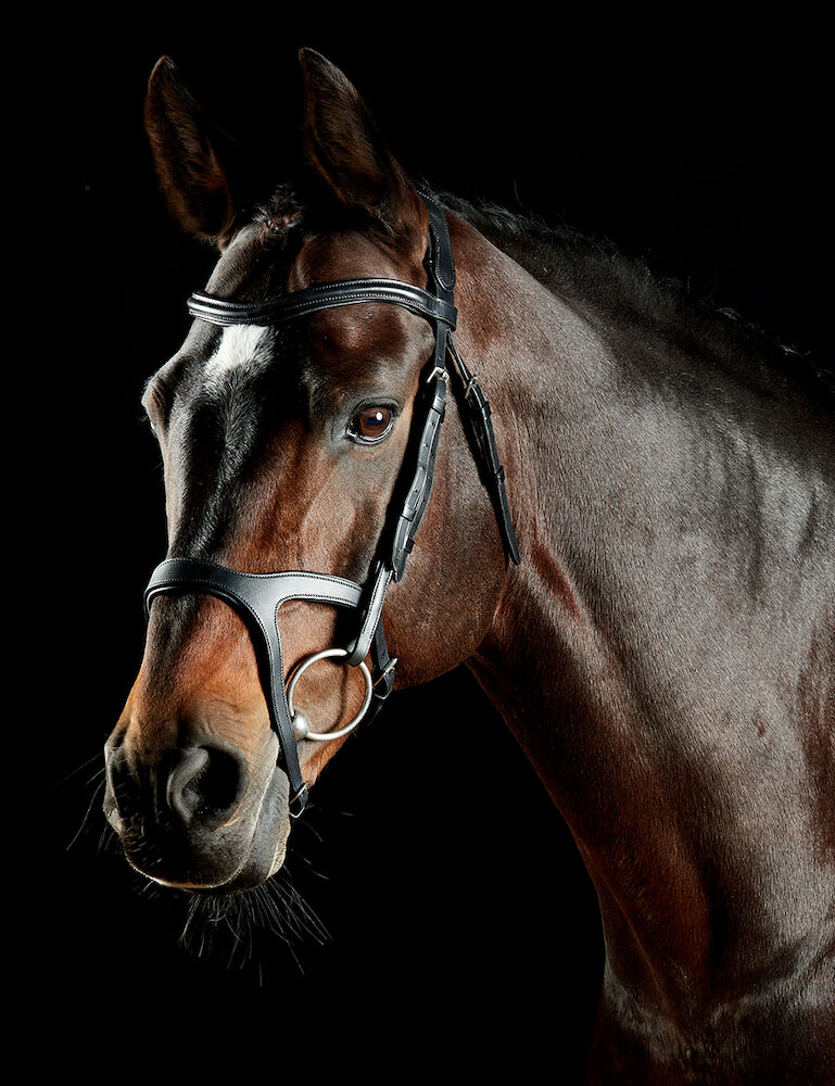 COLLEGIATE ComFiTec Xena Bridle