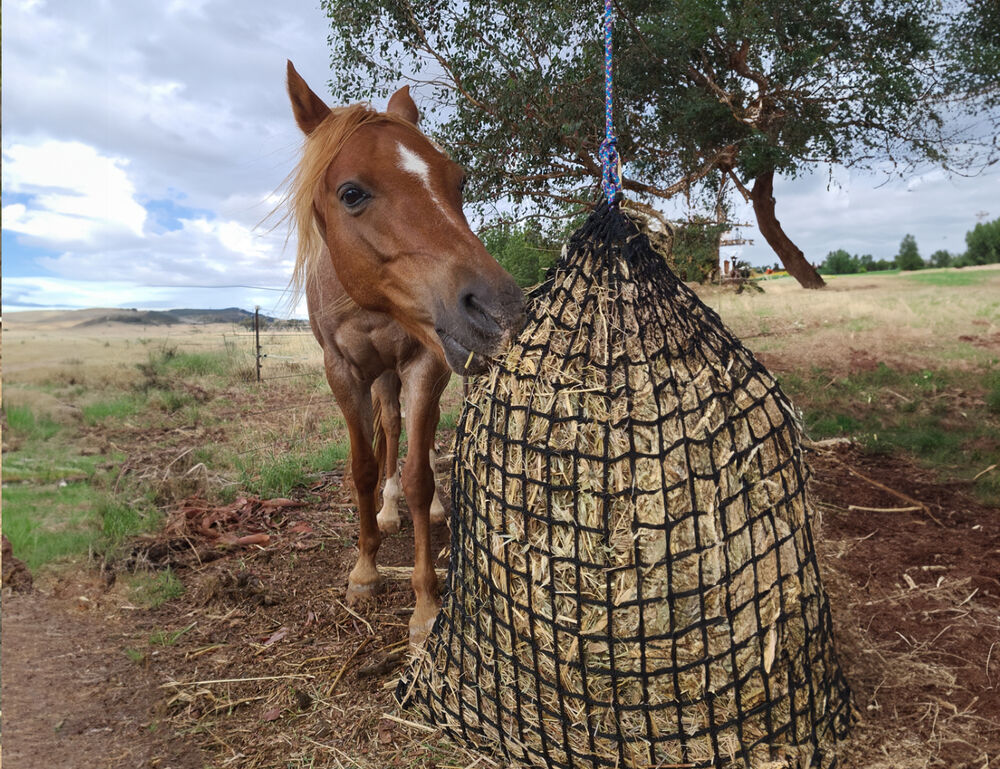 GUTZBUSTA Deluxe 5MM Knotless Slow Feed Hay Net