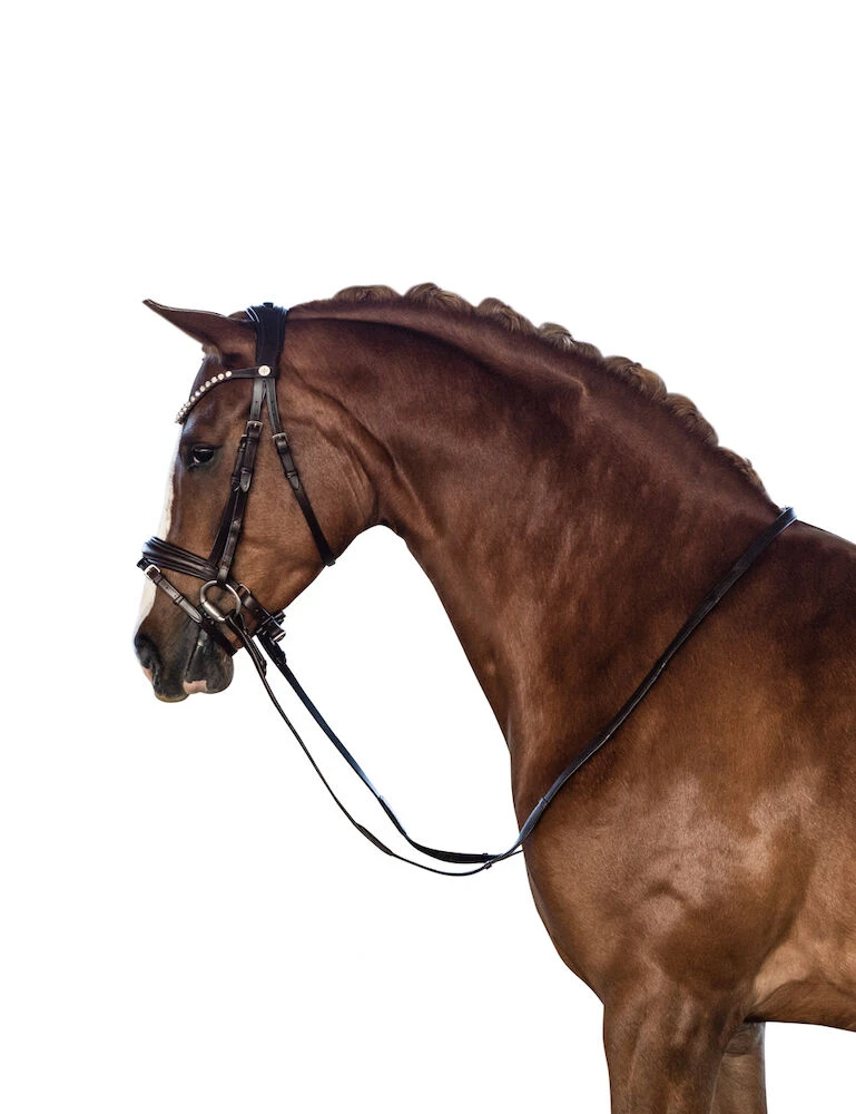 LARA TWEEDIE Essential Pony Bridle With Flash