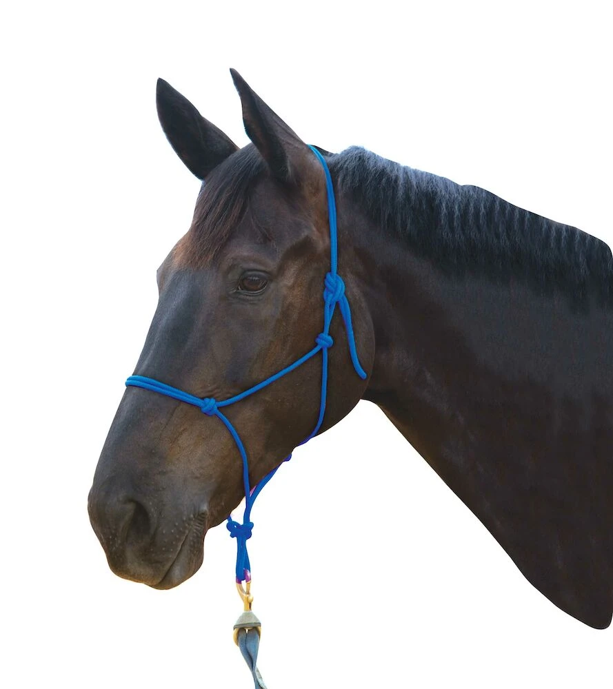 ROMA Nylon Rope Headcollar