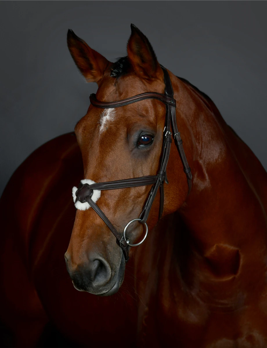 COLLEGIATE ComFiTec Opulux Plain Padded Grackle Bridle