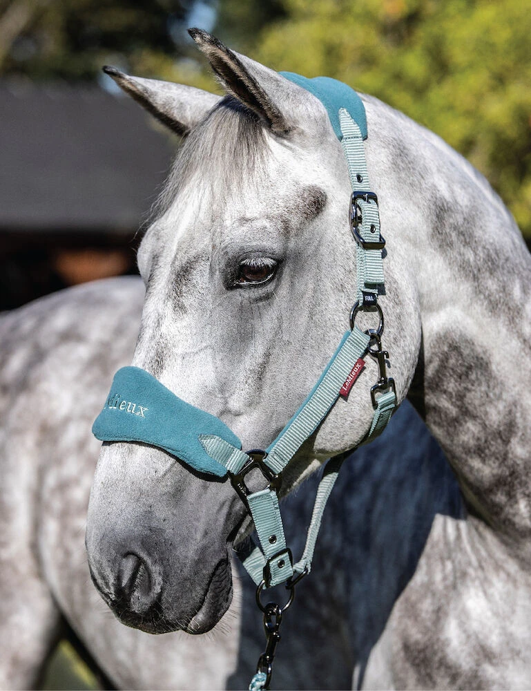 LEMIEUX Lemieux Vogue Fleece Headcollar And Lead Rope