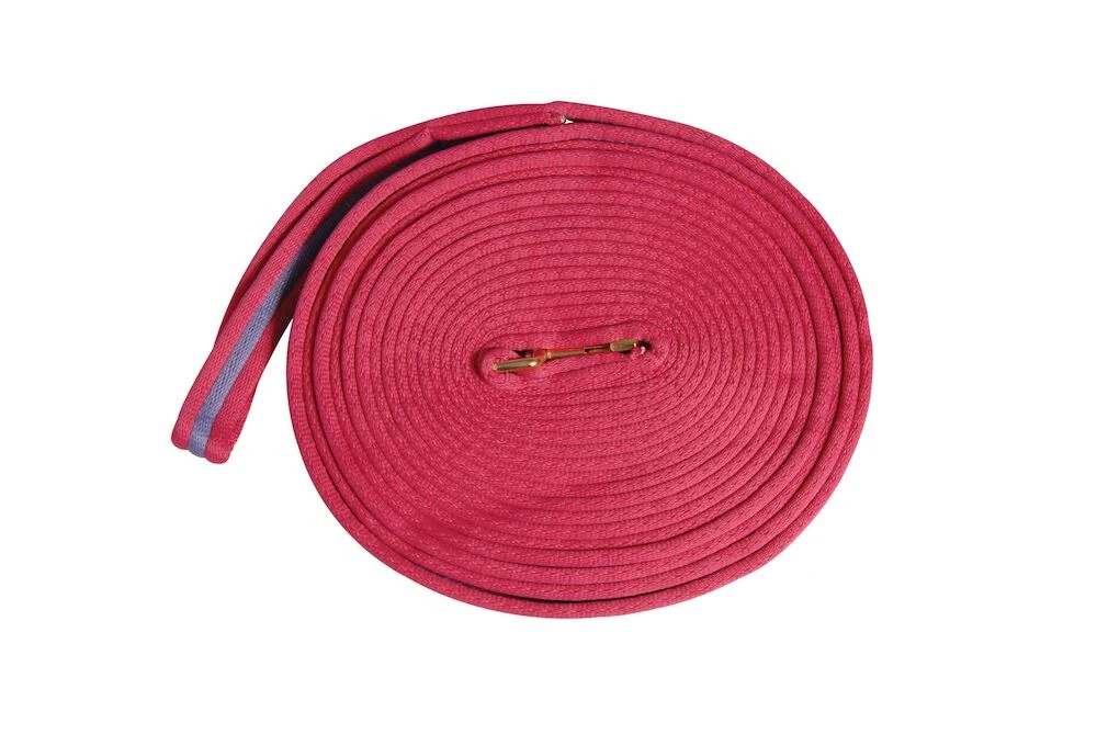 KINCADE Two Tone Padded Lunging Rein