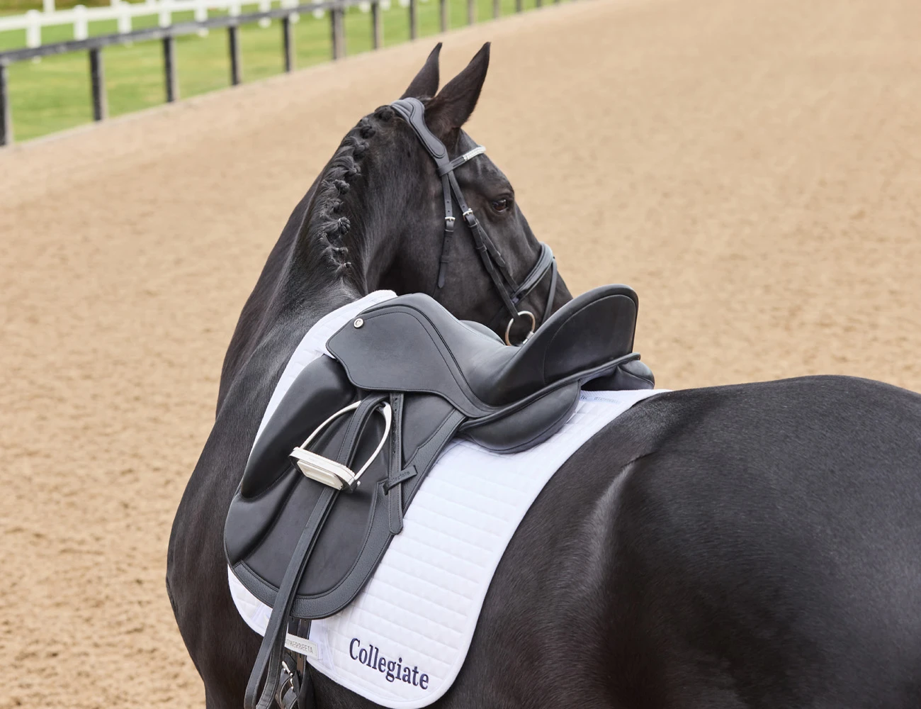 COLLEGIATE Resolute Dressage Saddle