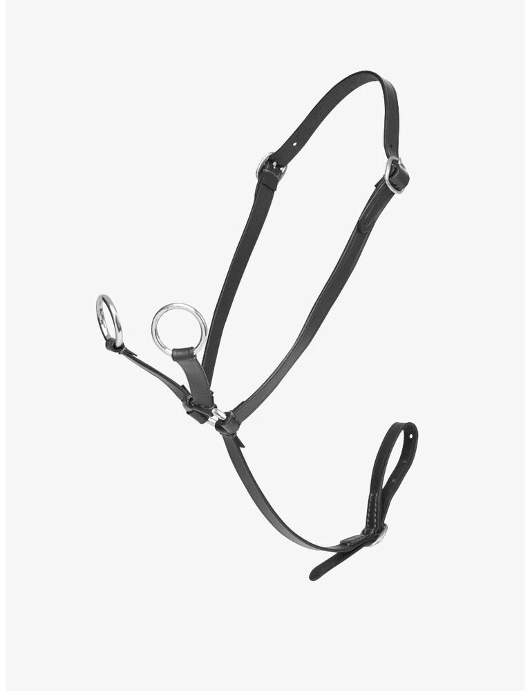 LEMIEUX Toy Pony Martingale
