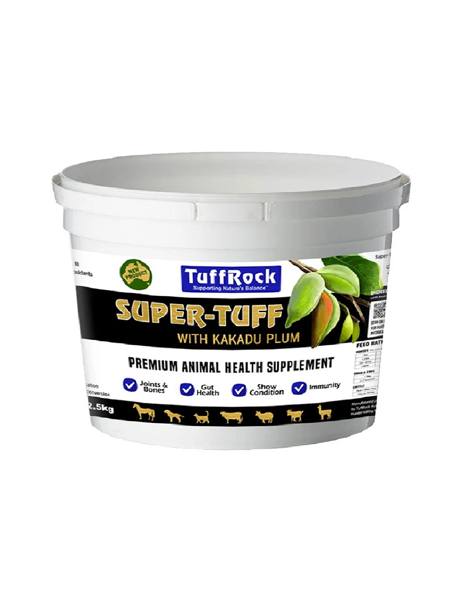 TUFFROCK Super-Tuff - 2.5KG