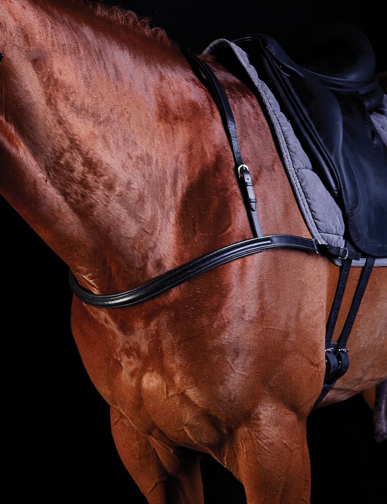 COLLEGIATE Dressage Breastplate