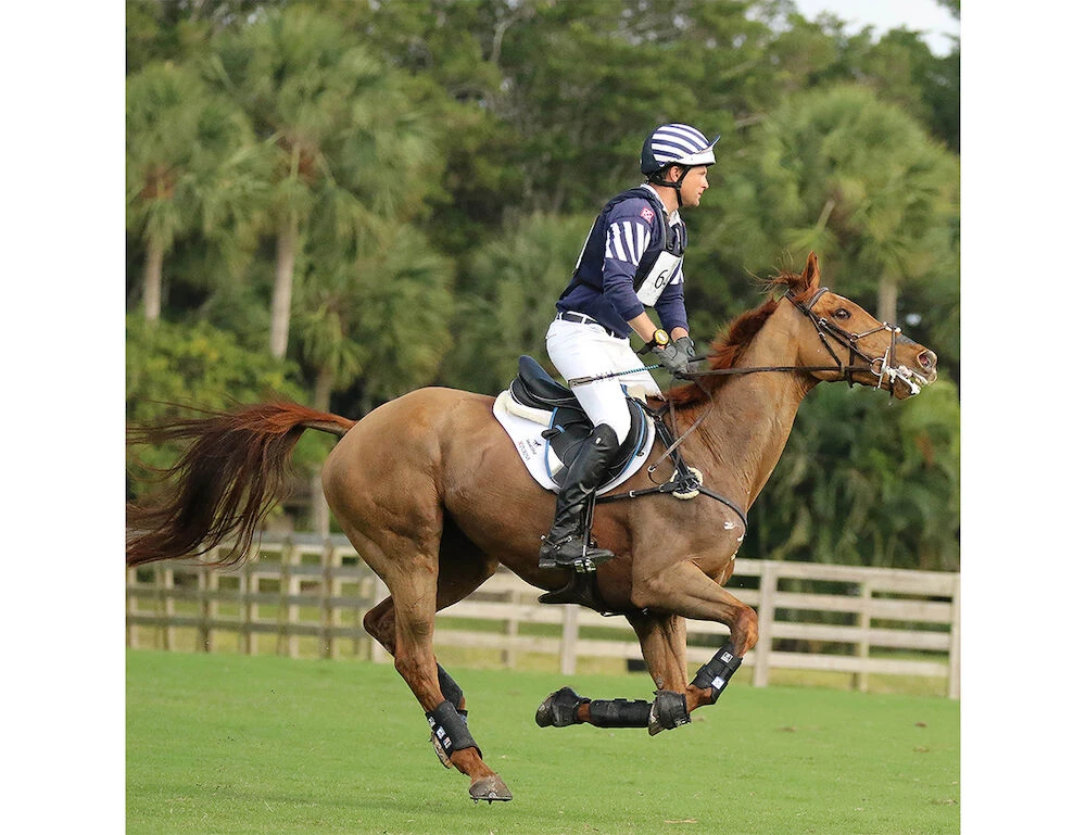 MAJYK EQUIPE Boyd Martin Eventing Xc Boots 4 Pack