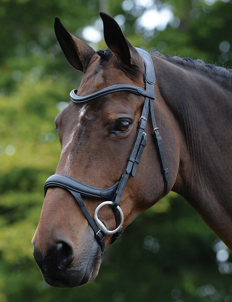 COLLEGIATE ComFiTec Vogue Anatomical Bridle
