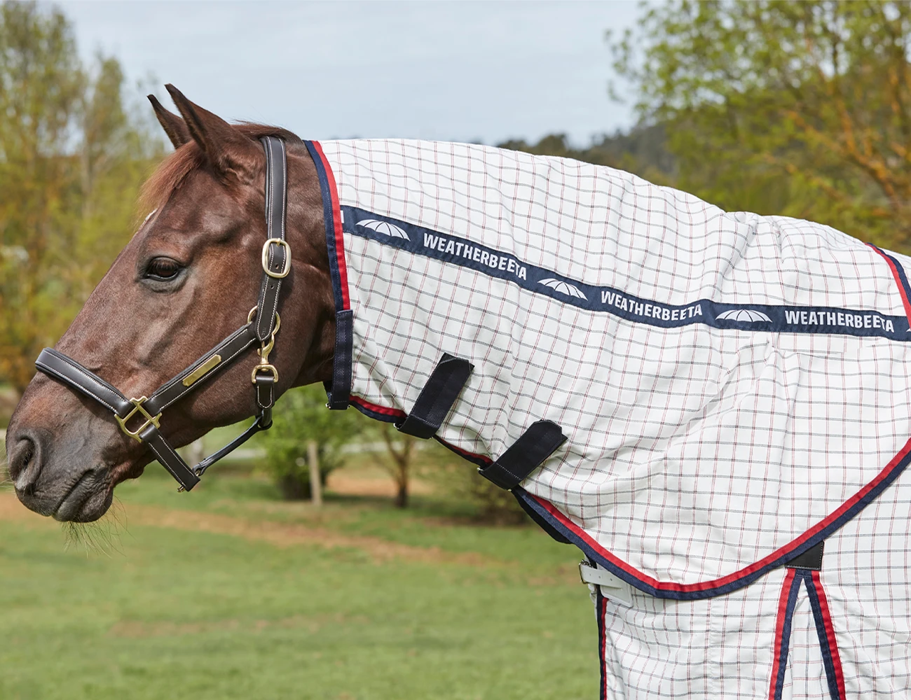 WEATHERBEETA Lite Summer Sheet Detach-A-Neck