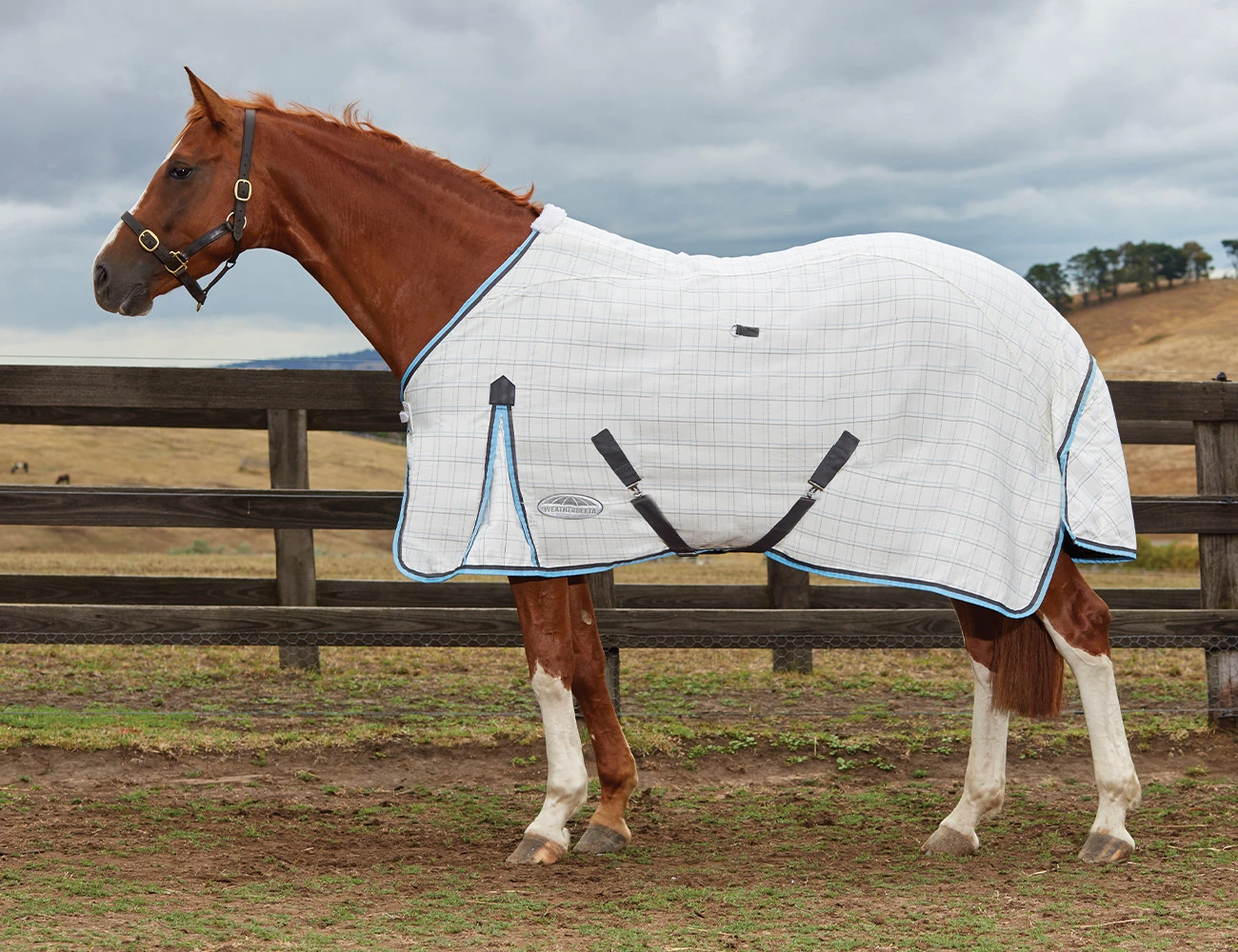 WEATHERBEETA Cotton Summer Sheet Standard Neck