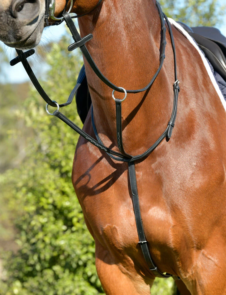 COLLEGIATE ComFiTec Opulux Fancy Raised Running Martingale