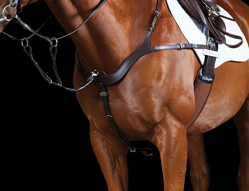 COLLEGIATE ComFiTec 5 Point Breastplate