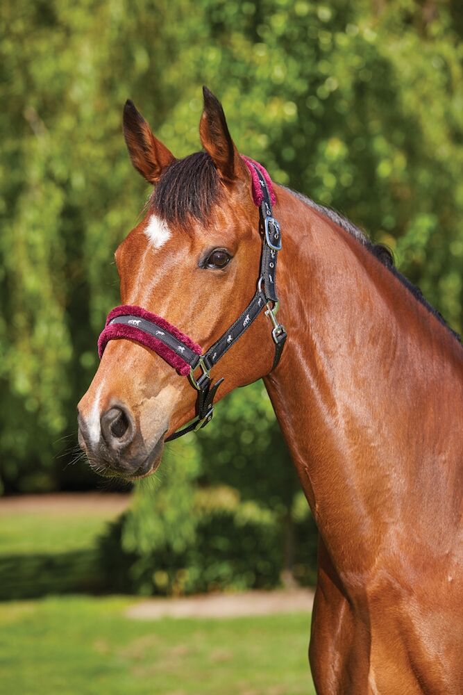 SAXON Fleece Lined Ribbon Headcollar