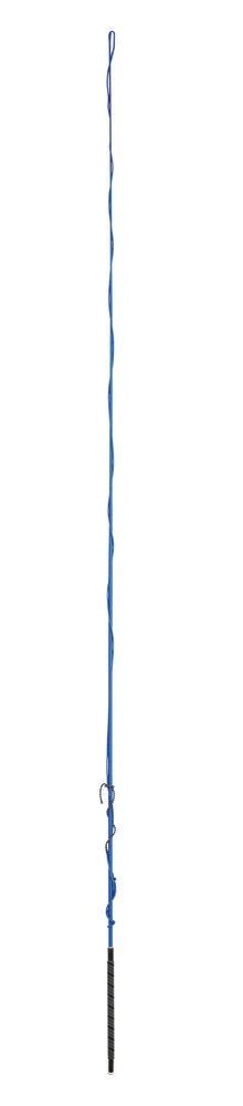 DUBLIN Lunge Whip With Grip Handle