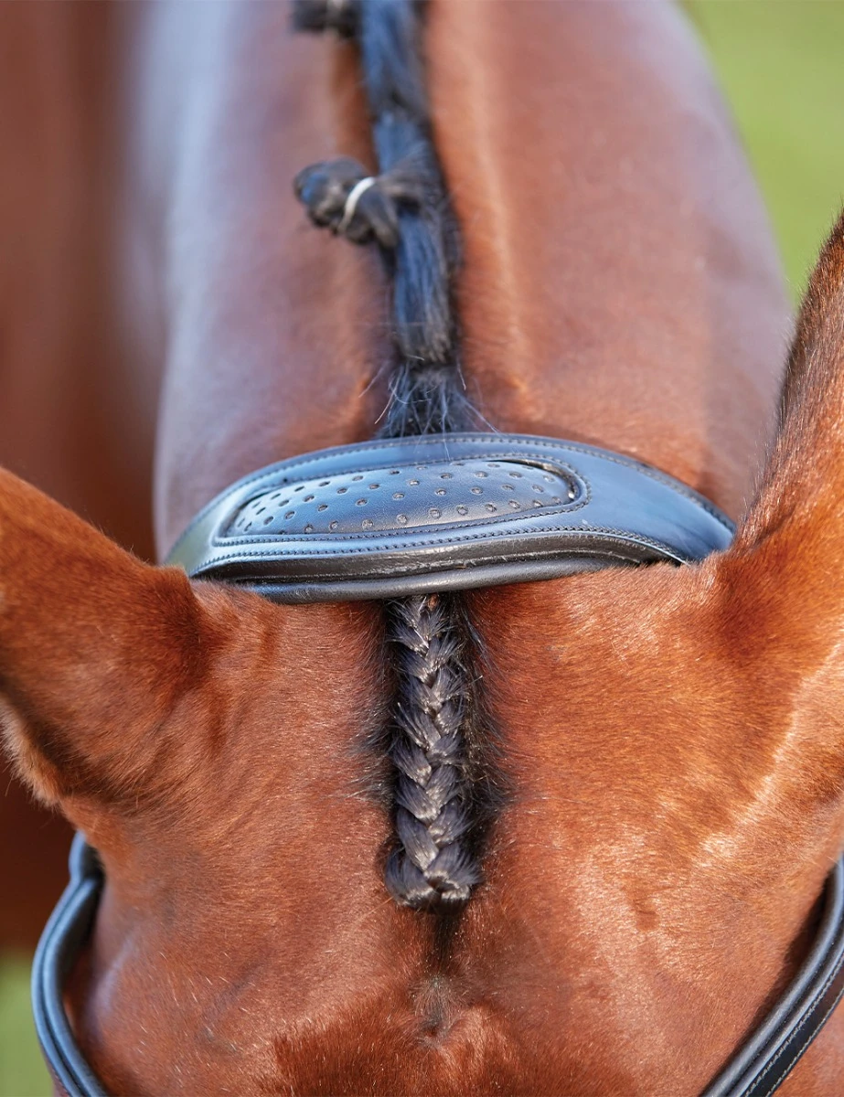 COLLEGIATE ComFiTec Training Bridle