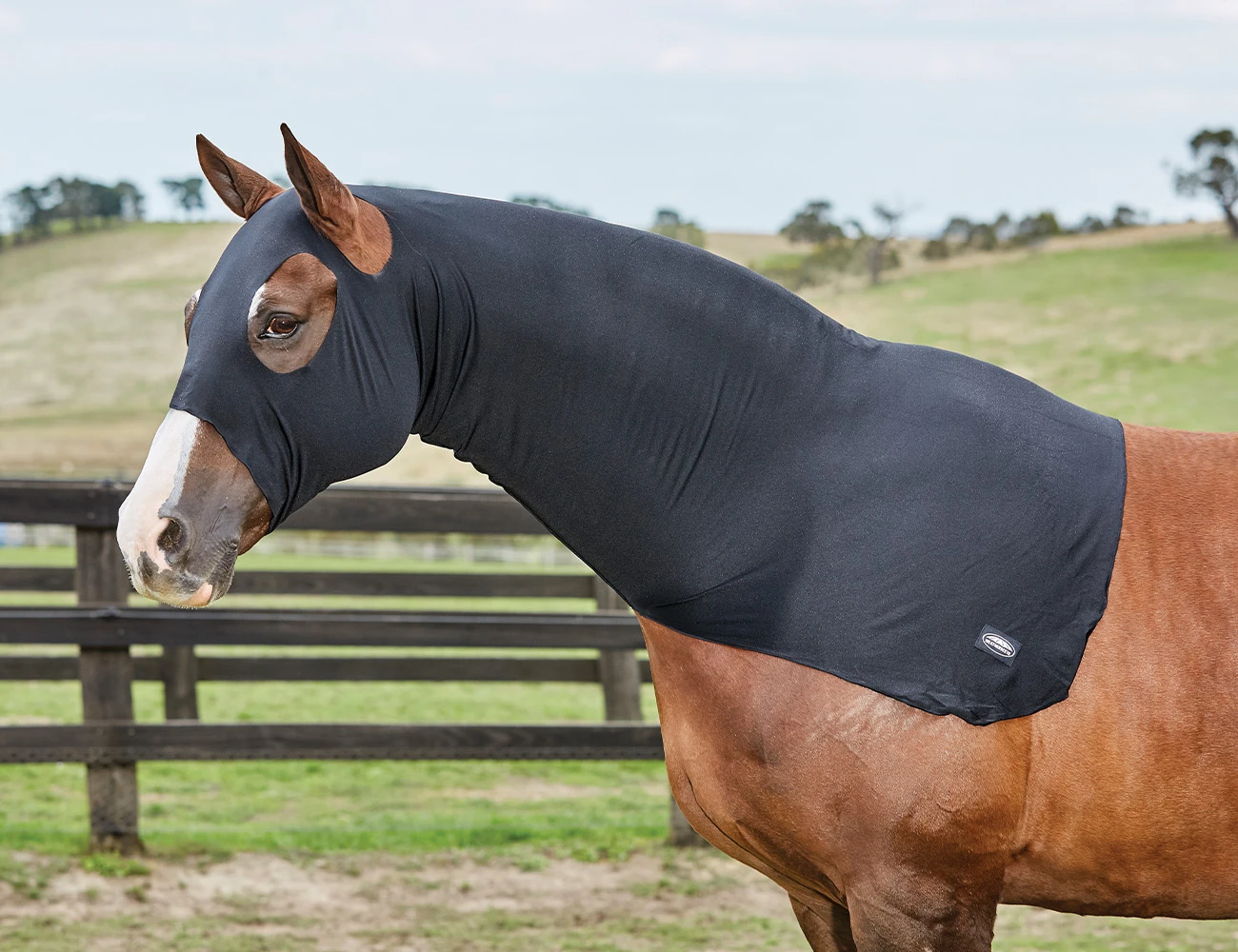 WEATHERBEETA Stretch Hood