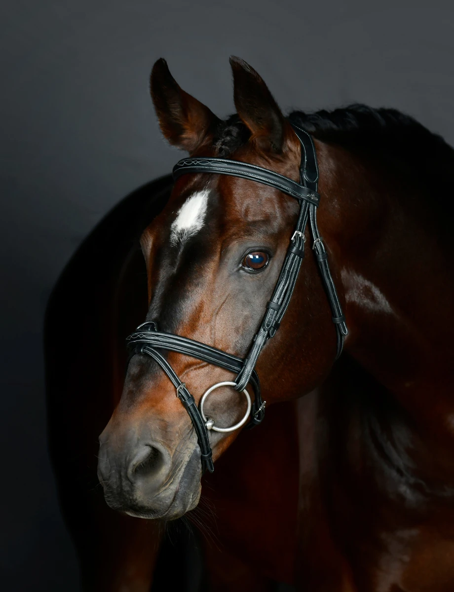 COLLEGIATE ComFiTec Opulux Fancy Stitch Padded Hanoverian Bridle