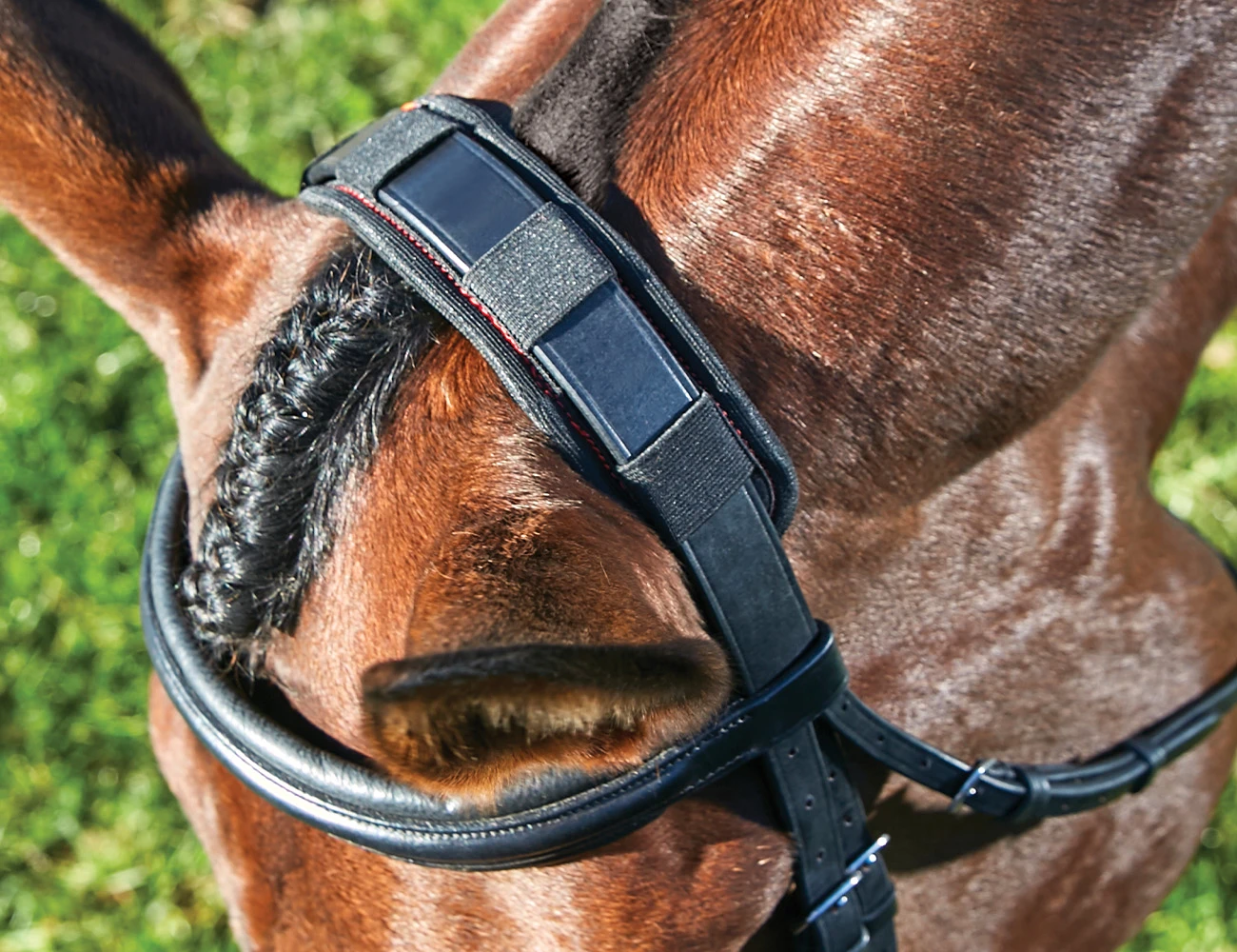 WEATHERBEETA Therapy-Tec Poll Pad