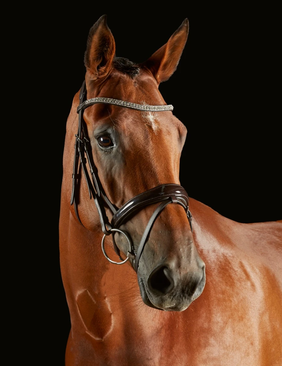COLLEGIATE ComFiTec Luna Bridle