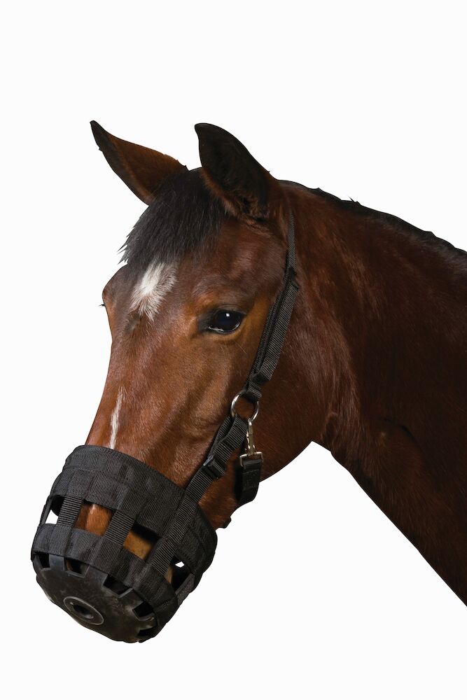 ROMA Grazing Muzzle