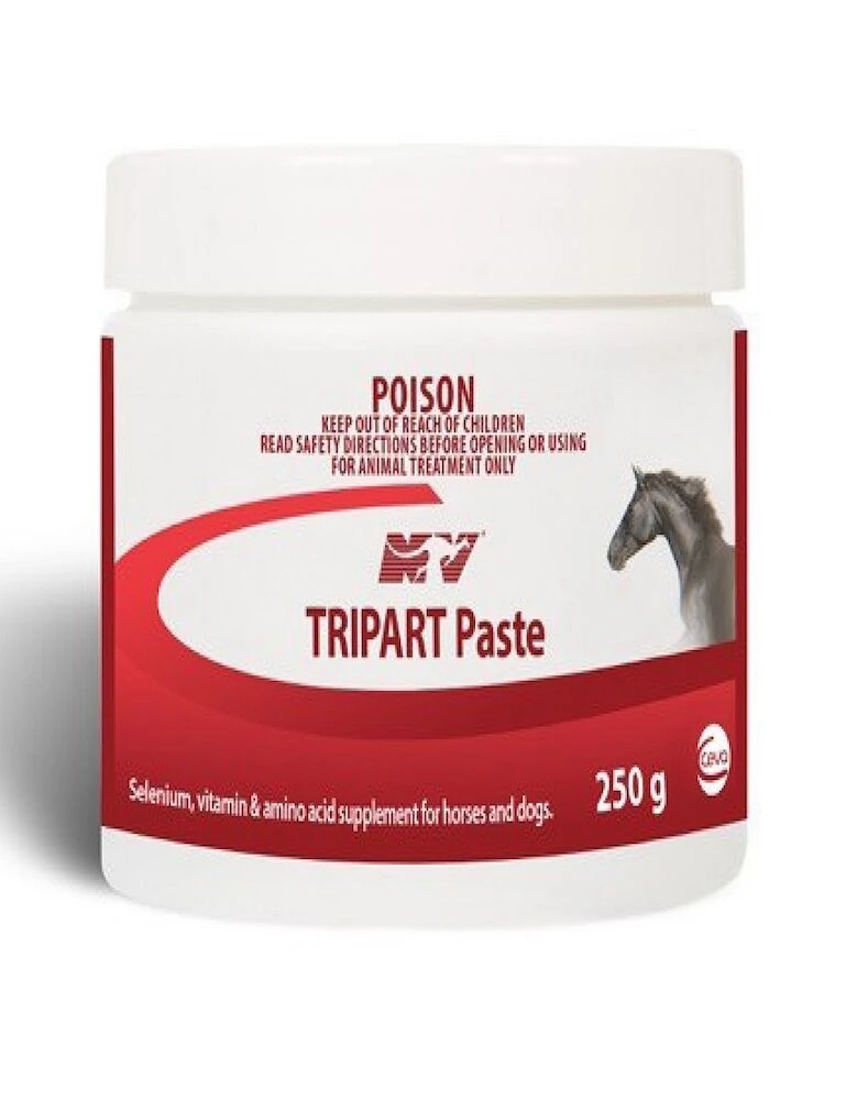 CEVA Tripart Paste - 250GM