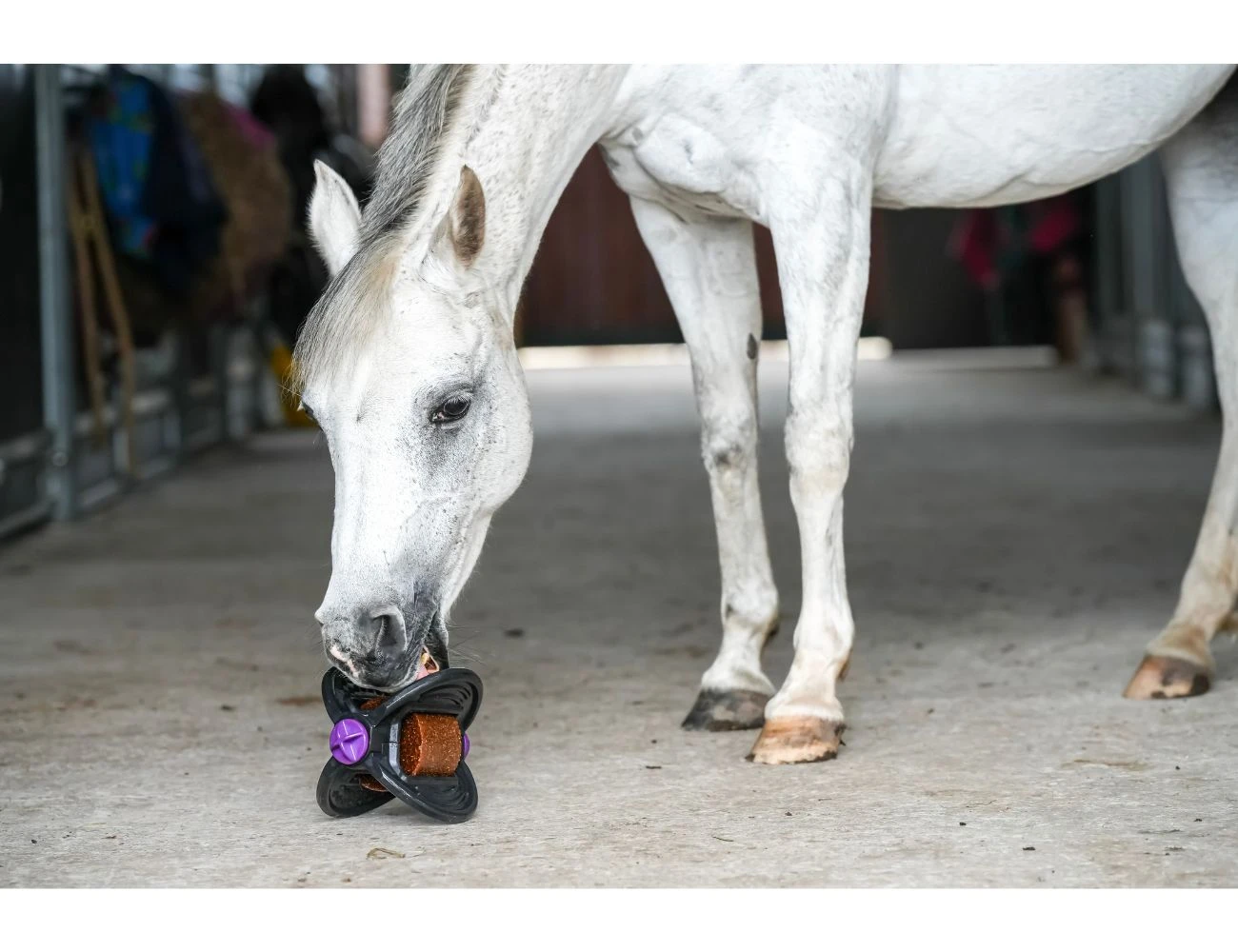 LIKIT Bizzy Horse Toy