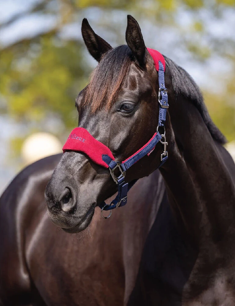 LEMIEUX Lemieux Vogue Fleece Headcollar And Lead Rope