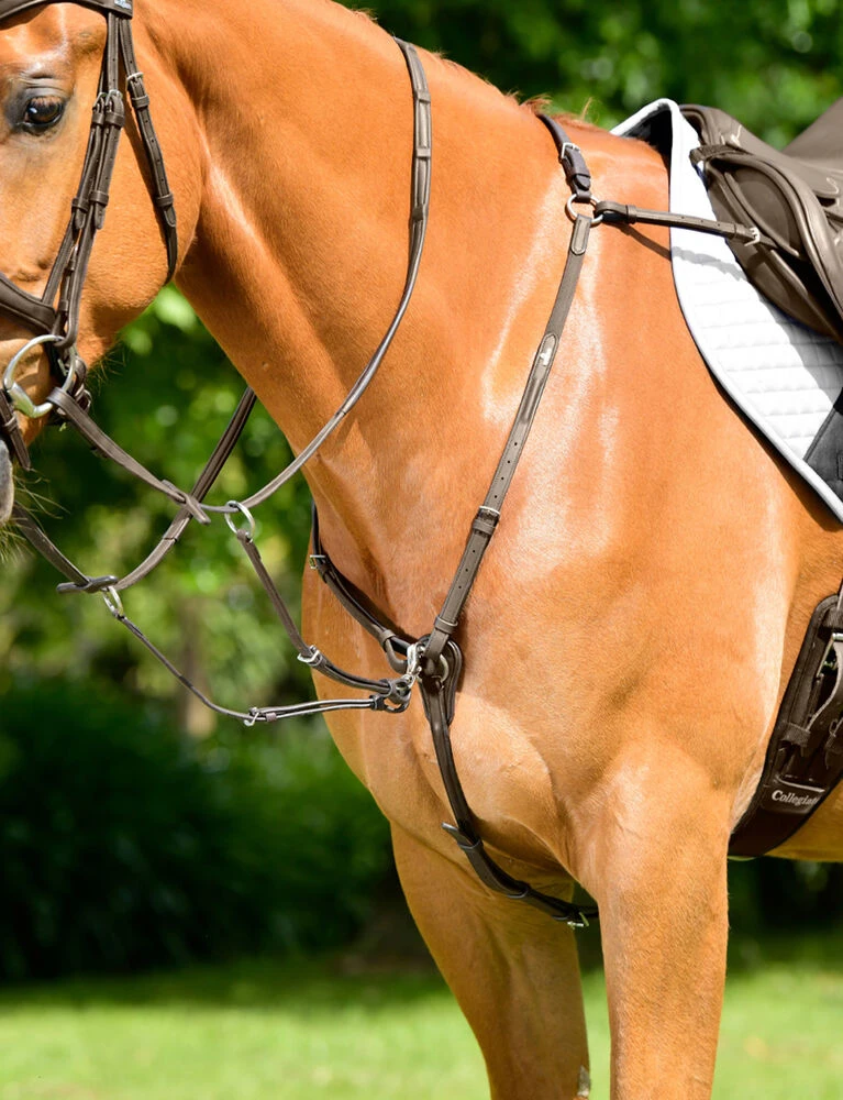 COLLEGIATE ComFiTec Opulux 3-Point Padded Raised Breastplate With Running Attachment