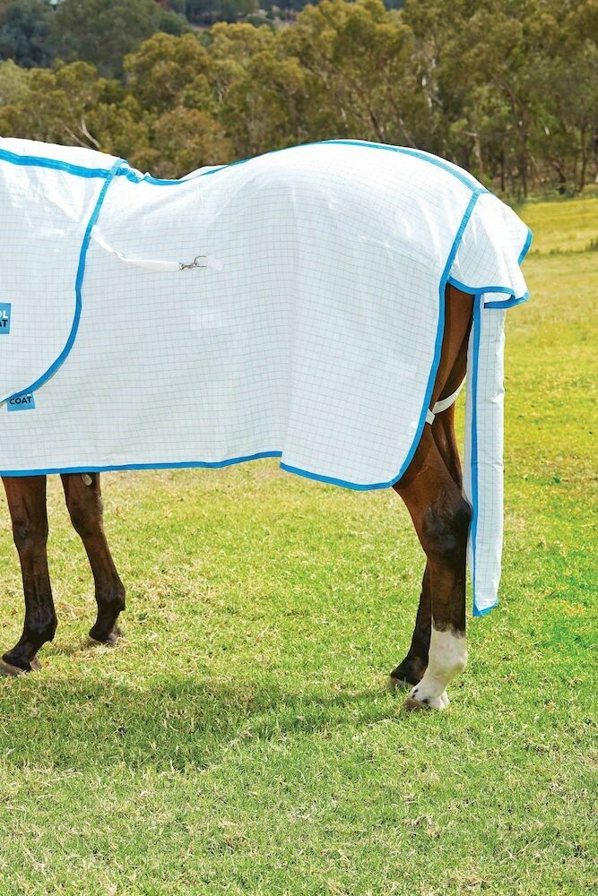 KOOL COAT Tail Bag Lite