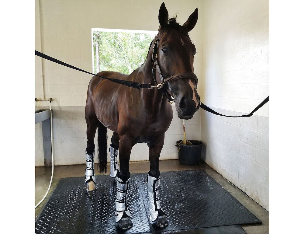 MAJYK EQUIPE Cool Compression Gel Ice Boot Pair