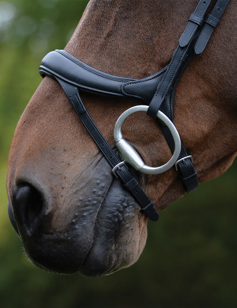 COLLEGIATE ComFiTec Vogue Anatomical Bridle