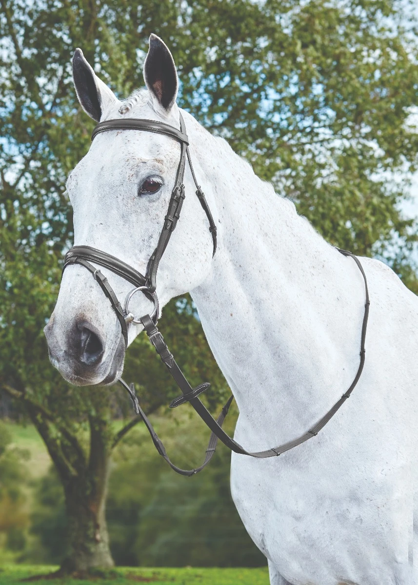KINCADE Flash Bridle III