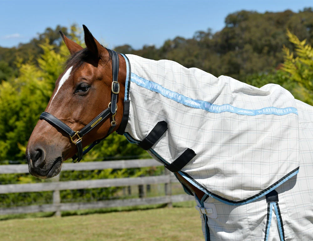 WEATHERBEETA Cotton Summer Sheet Combo Neck