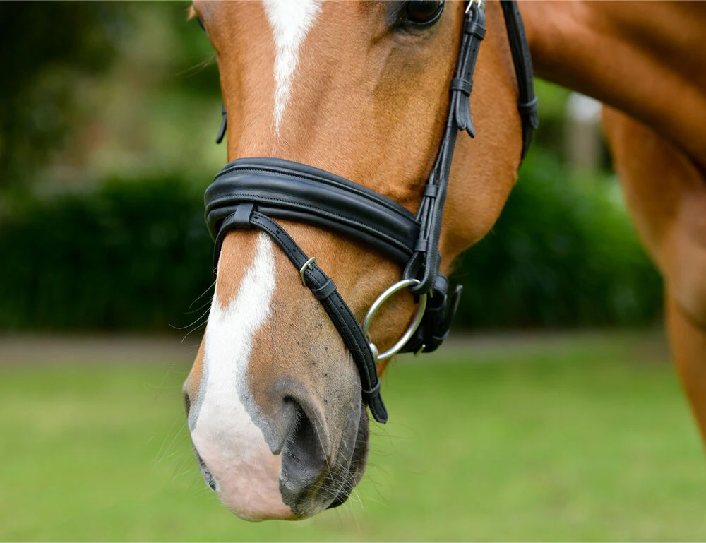 COLLEGIATE ComFiTec Opulux Raised Dressage Bridle