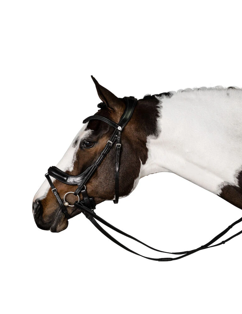 LARA TWEEDIE Connection Bridle