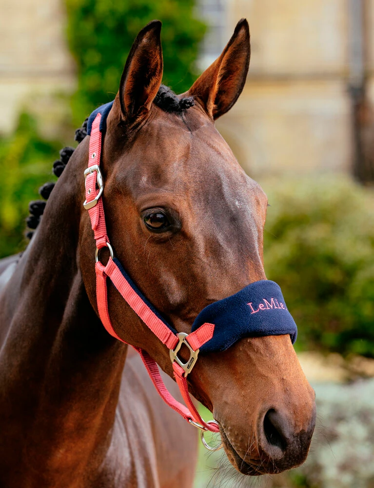 LEMIEUX Vogue Headcollar And Leadrope