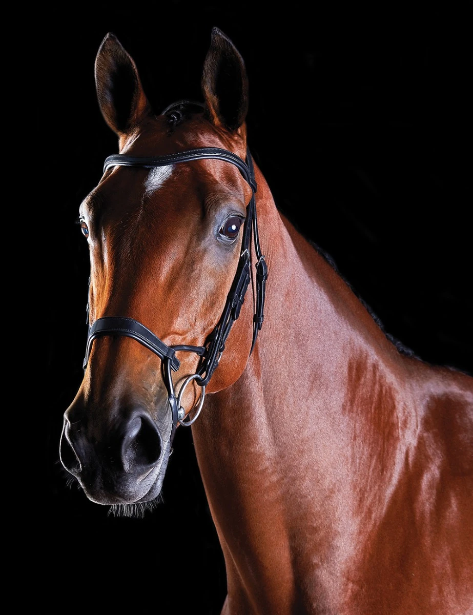 COLLEGIATE ComFiTec Training Bridle