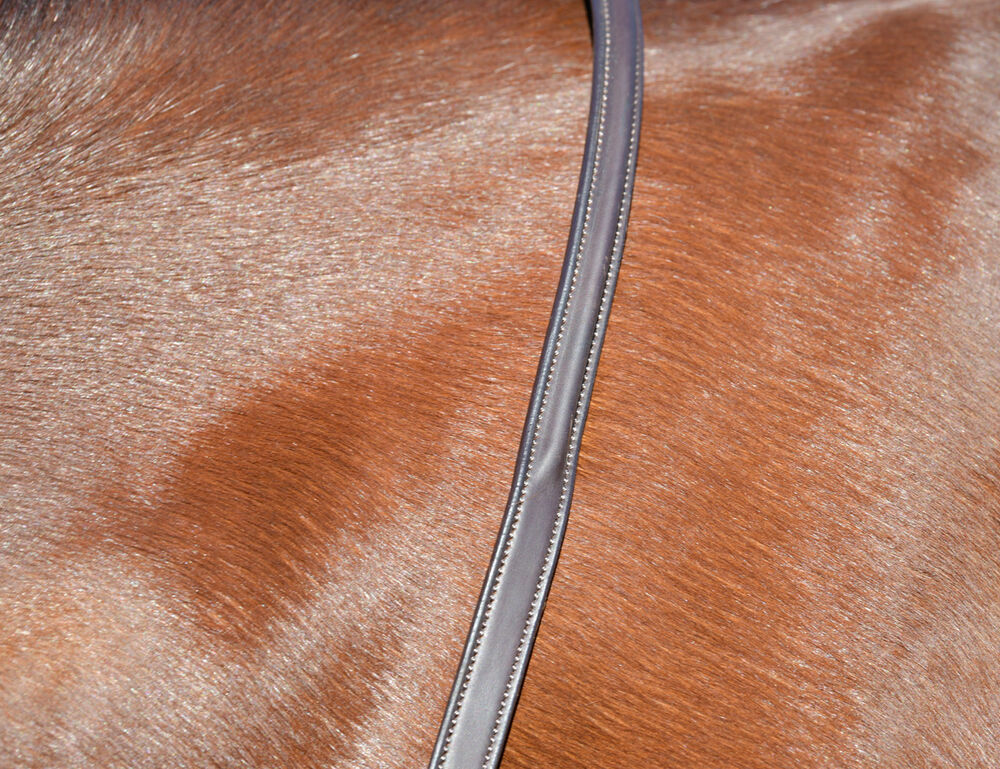 COLLEGIATE ComFiTec Opulux Fancy Raised Running Martingale
